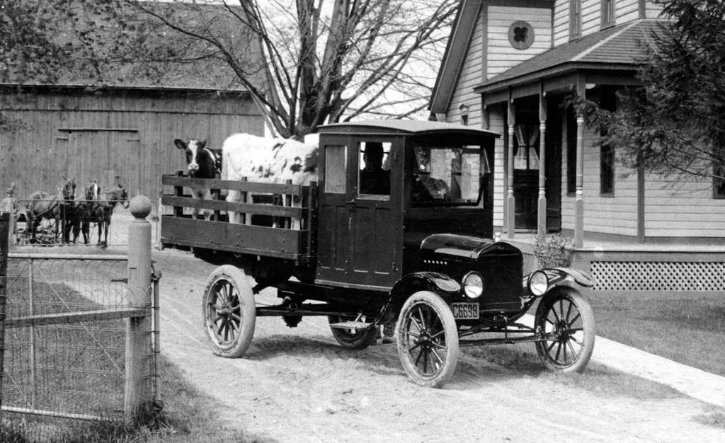 Ford T, modificado para transportar ganado vacuno