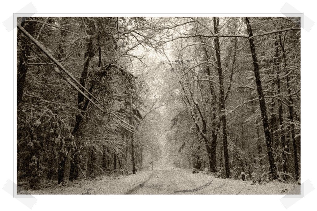 Las tres hermanas - Carretera bosque nieve