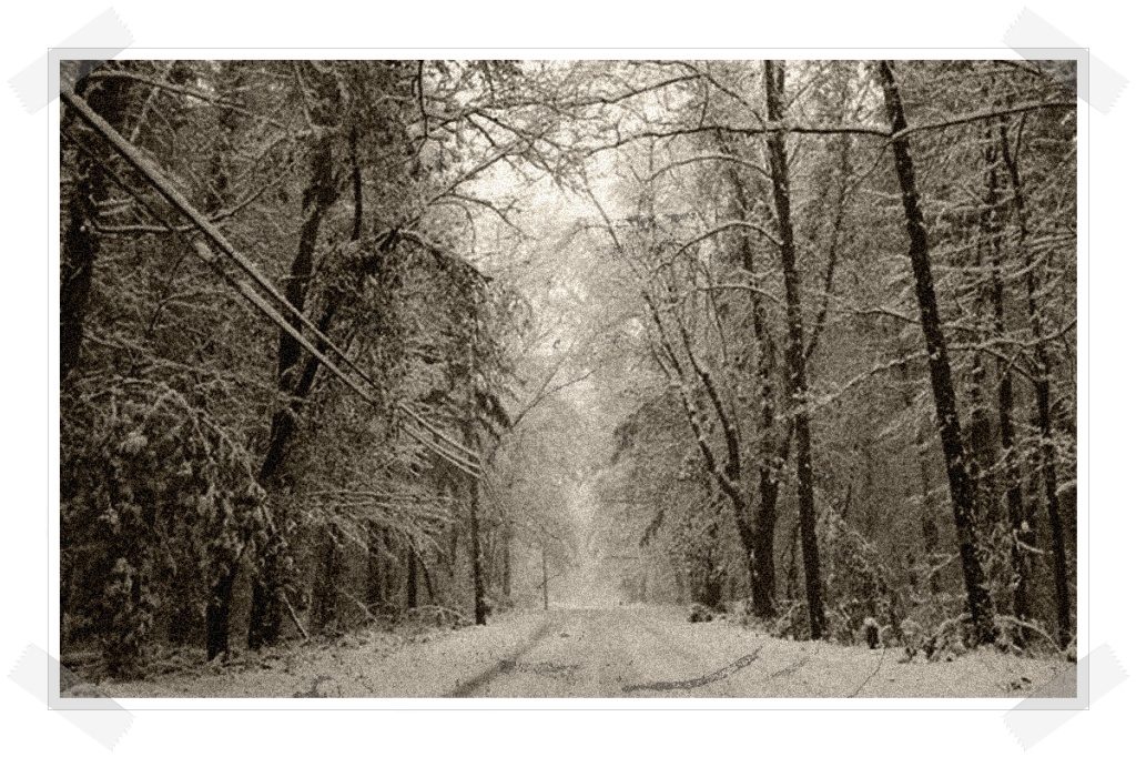 Carretera bosque nieve