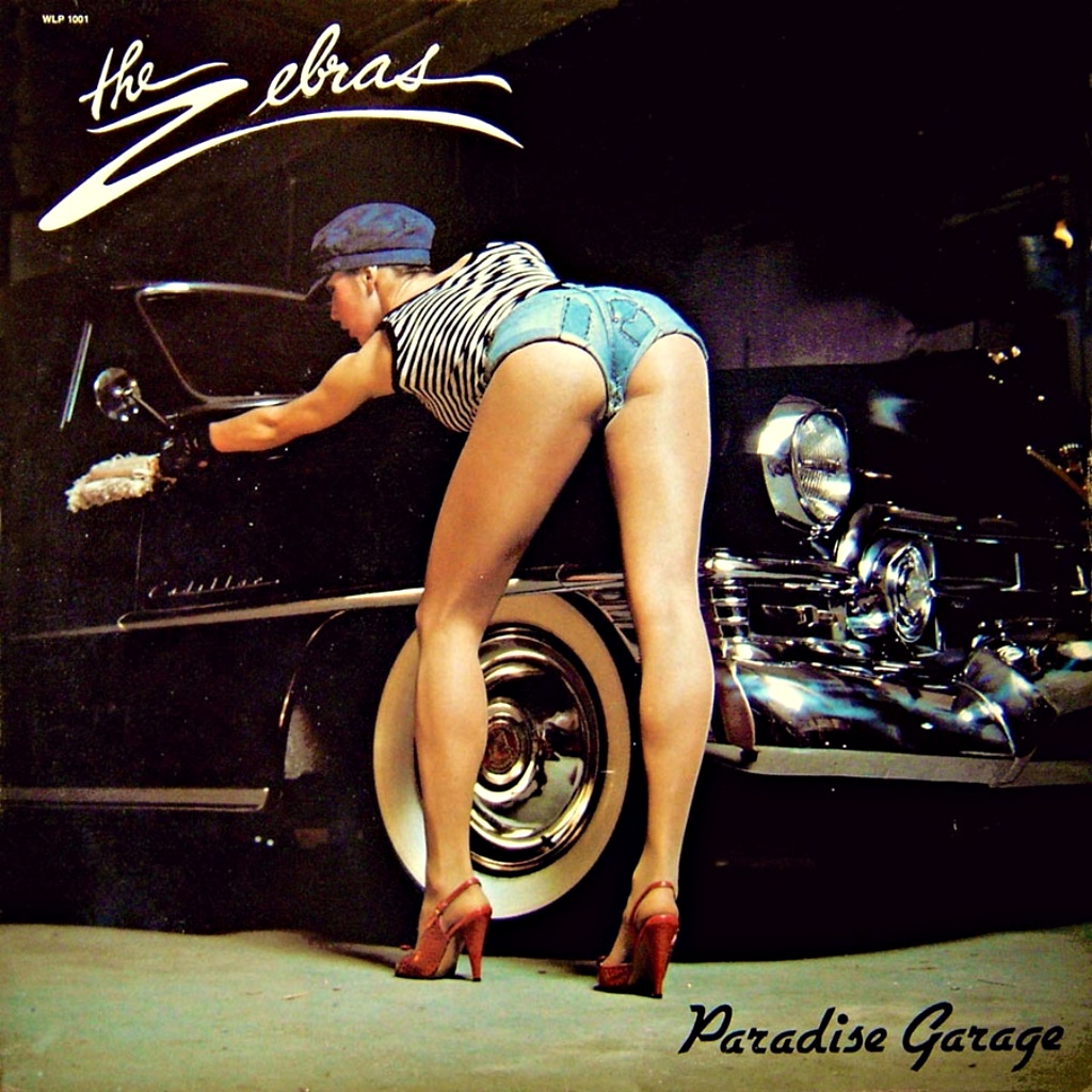 The Zebras - Paradise Garage