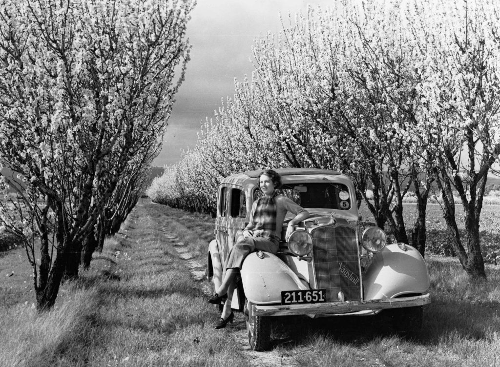 El futuro de los coches clásicos: Vauxhall con almendros