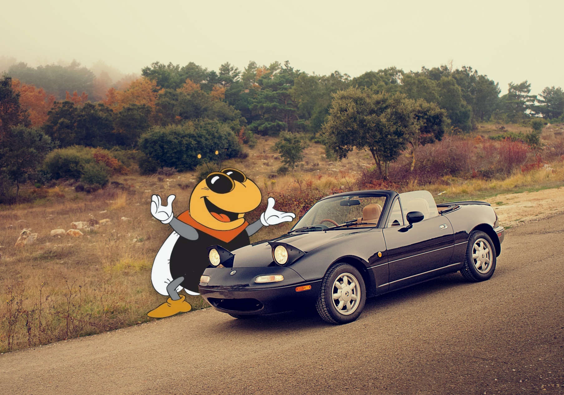 Mazda MX-5 Miata Eunos Roadster